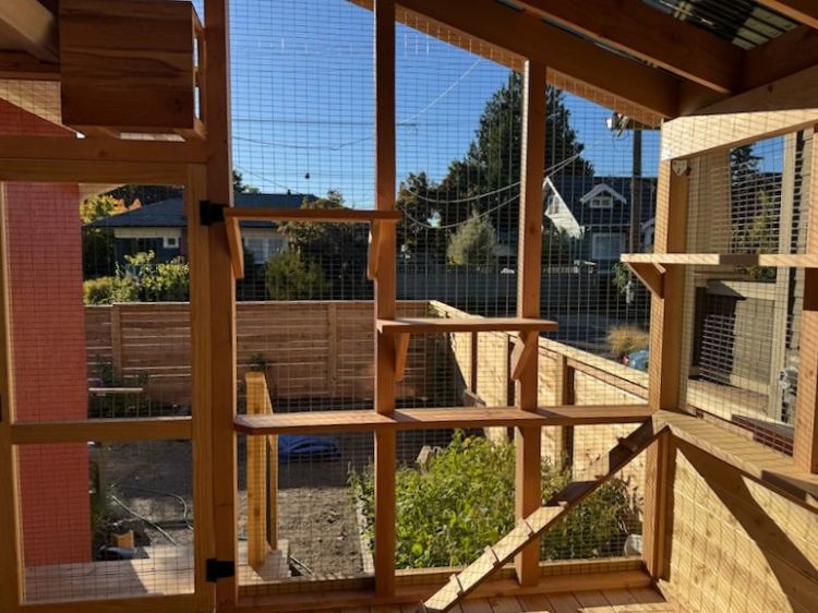 Catio Builder Near Me Vancouver Wa