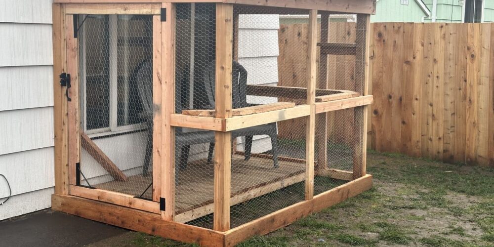 Catio Builder Services